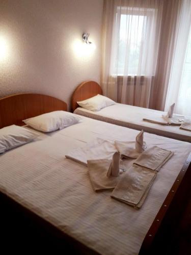 Otel Delfin 3 mestny 6