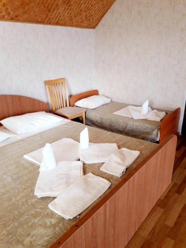 Otel Delfin 5 mestny 10