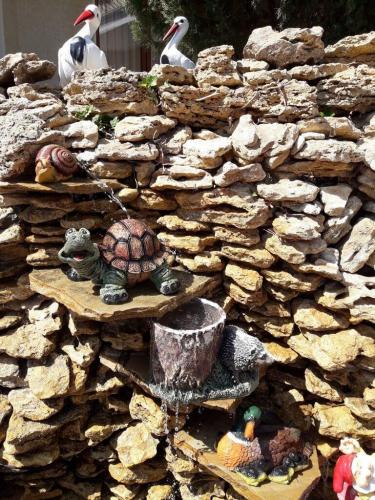 Otel Delfin territotija 2