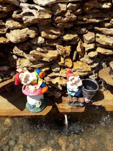 Otel Delfin territotija 3