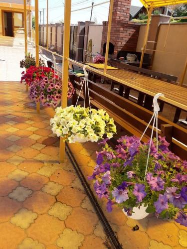 Otel Delfin territotija 6