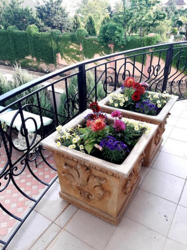 Otel Delfin territotija 9